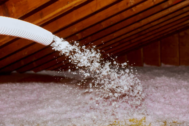 Best Insulation for Specific Applications in Iona, FL