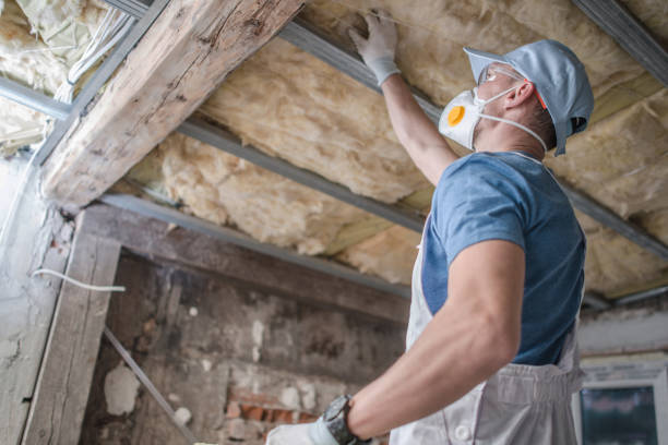 Best Energy Efficiency Solutions in Iona, FL