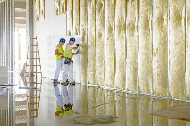 Best Insulation Installation Services in Iona, FL